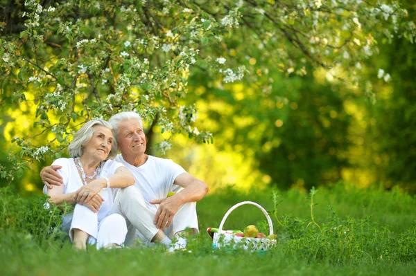 Amare Gli Anziani Coppia Facendo Picnic Nel Giardino Estivo — Foto Stock