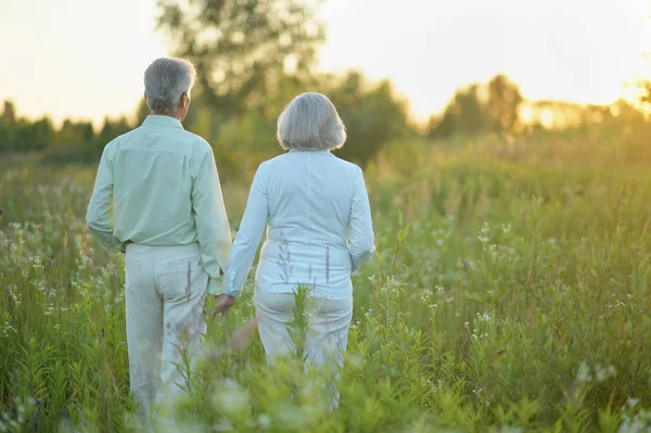 Aimant Couple Personnes Âgées Marchant Sur Prairie Verte Été — Photo