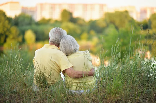 美丽的老年夫妇拥抱在公园的肖像 后视图 — 图库照片