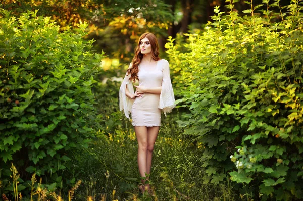 Nahaufnahme Porträt Der Schönen Jungen Frau Posiert Sommer Park Hintergrund — Stockfoto