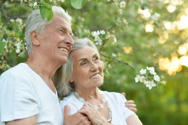 Mooie Senior Paar Knuffelen Het Park — Stockfoto
