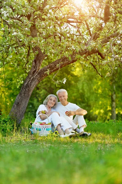 Loving Elderly Couple Having Picnic Summer Garden — Stock Photo, Image