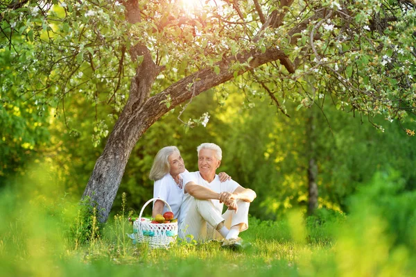 Amare Gli Anziani Coppia Facendo Picnic Nel Giardino Estivo — Foto Stock