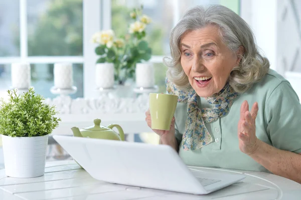 Mulher sênior com laptop — Fotografia de Stock