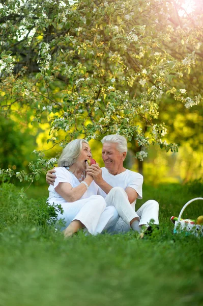 Gelukkige Senior Paar Hebben Picnic Het Park — Stockfoto