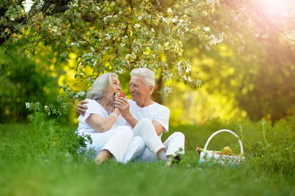 Gelukkige Senior Paar Hebben Picnic Het Park — Stockfoto