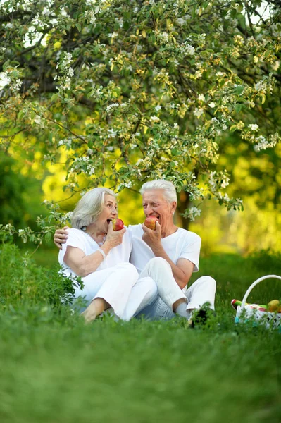 Gelukkige Senior Paar Hebben Picnic Het Park — Stockfoto