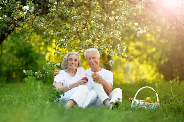 Feliz Pareja Ancianos Haciendo Picnic Parque — Foto de Stock