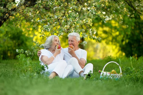 幸福的高级情侣在公园野餐 — 图库照片