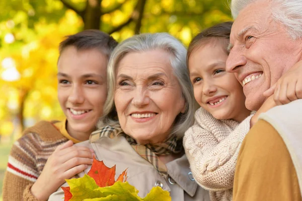 Nonno Felice Nonna Nipoti Nel Parco — Foto Stock