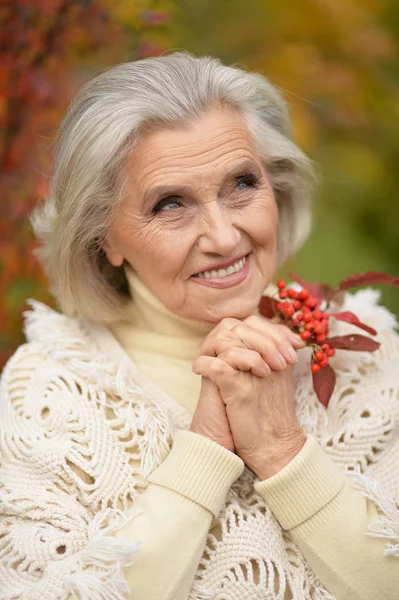 Χαρούμενη Ηλικιωμένη Γυναίκα Που Ποζάρει Στο Φθινοπωρινό Πάρκο — Φωτογραφία Αρχείου