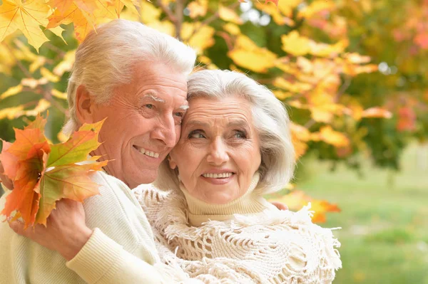 Beautiful Senior Couple Park — Stock Photo, Image