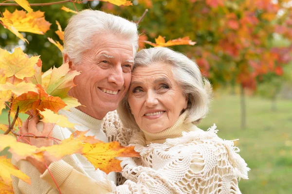 Beau Couple Personnes Âgées Dans Parc — Photo