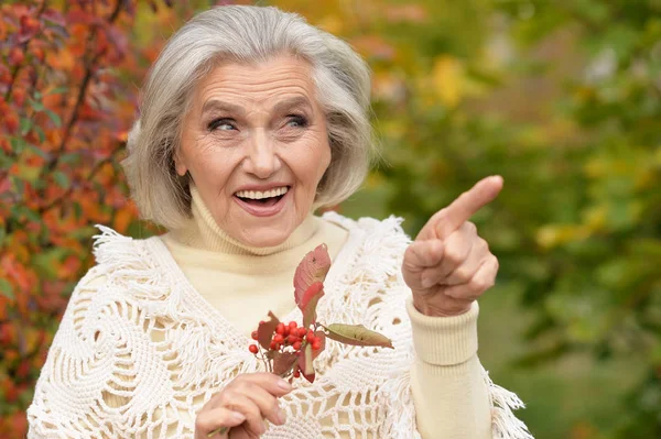 Bella Donna Anziana Felice Nel Parco Autunnale Che Punta Con — Foto Stock