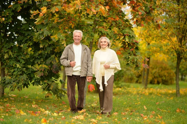 Beau Couple Personnes Âgées Dans Parc — Photo