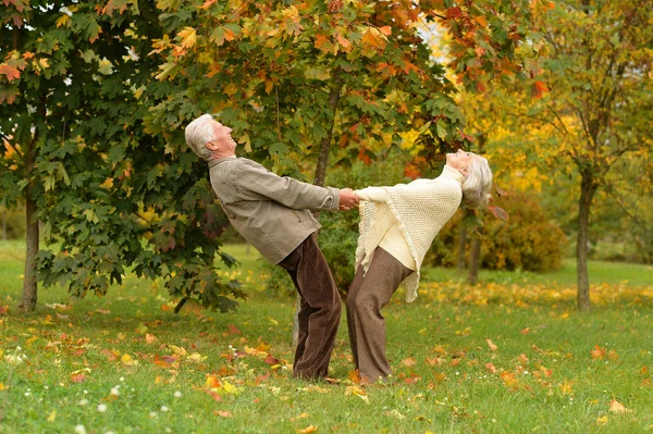 Bella Coppia Anziani Che Tiene Mano Nel Parco — Foto Stock