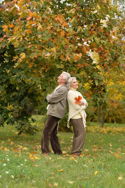 Beautiful Senior Couple Park — Stock Photo, Image