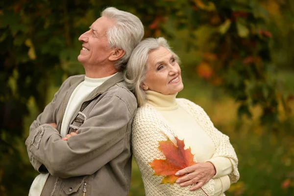 Mooi Senior Paar Het Park — Stockfoto