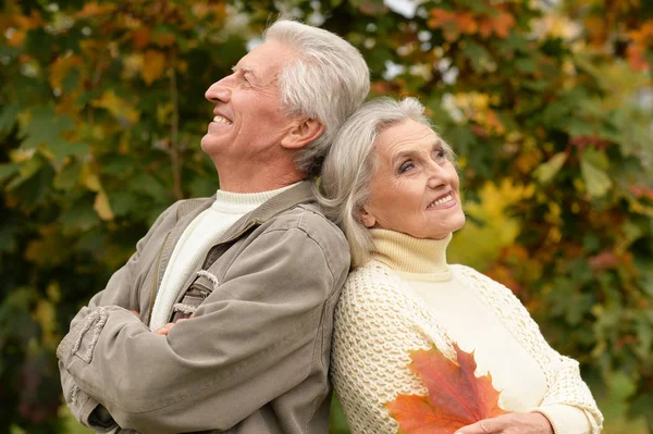 Hermosa Pareja Ancianos Parque —  Fotos de Stock