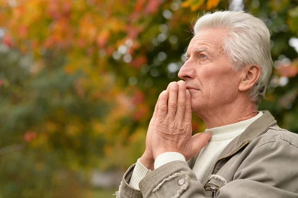 Retrato Del Anciano Reflexivo Rezando Parque —  Fotos de Stock