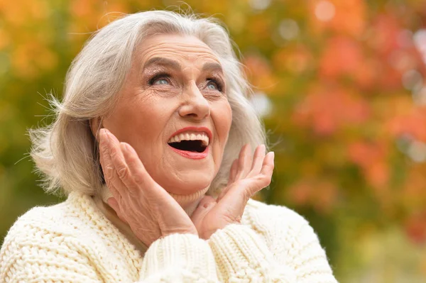 Mulher Sênior Feliz Sorrindo Parque Outono — Fotografia de Stock