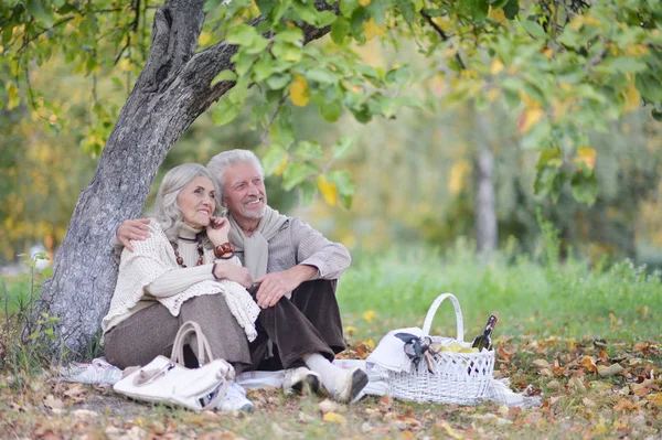 Para Seniorów Mający Piknik Świeżym Powietrzu — Zdjęcie stockowe