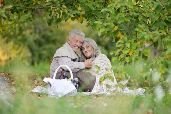 Pareja Mayor Teniendo Picnic Aire Libre — Foto de Stock