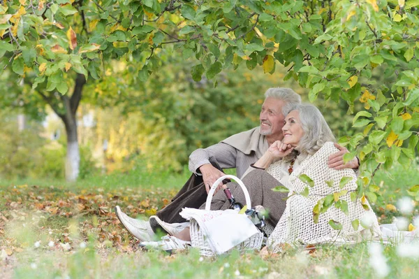 Senior Couple Having Picnic Outdoors — Stock Photo, Image