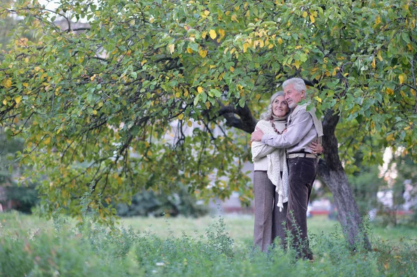 Parktaki Güzel Yaşlı Çiftin Portresi — Stok fotoğraf