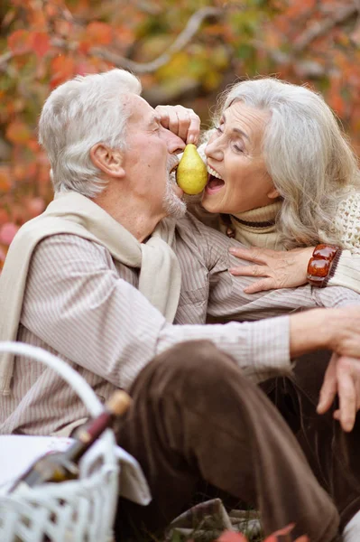 Senior Couple Having Picnic Outdoors — Stock Photo, Image