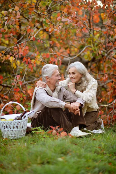 Glad Äldre Kvinna Och Man Parken — Stockfoto