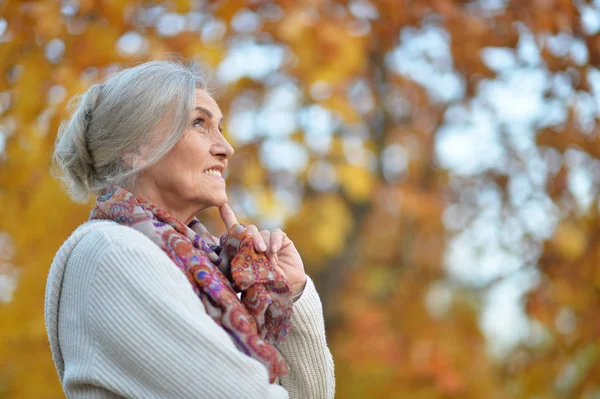 Beautiful Senior Woman Autumn Park — Stock Photo, Image