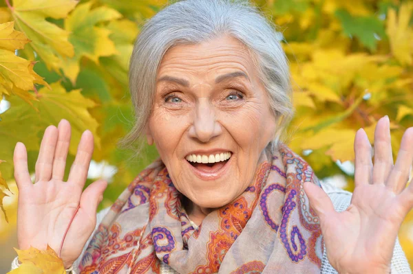 Belle Femme Âgée Dans Parc Automne — Photo