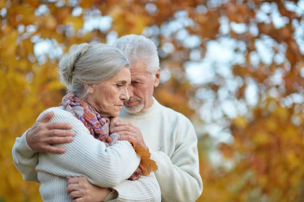 Triste Couple Aîné Dans Parc Automne — Photo