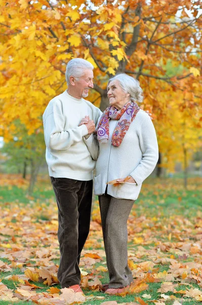 Porträt Eines Schönen Seniorenpaares Park — Stockfoto