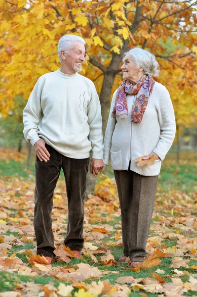 Retrato Belo Casal Sênior Parque — Fotografia de Stock