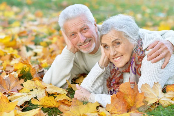 躺在公园的快乐年长夫妇 — 图库照片