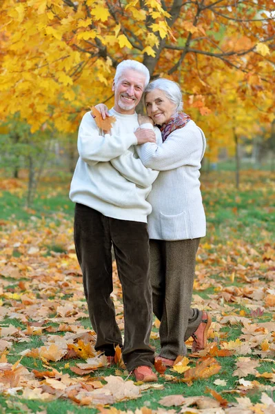 Porträt Eines Schönen Seniorenpaares Park — Stockfoto