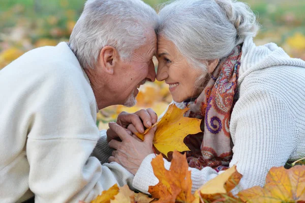 Mutlu Yaşlı Çift Sonbahar Yaprakları Üzerinde Yalan — Stok fotoğraf