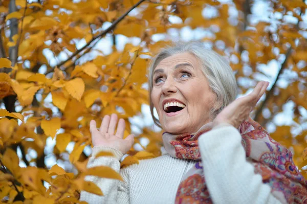 Szczęśliwa Kobieta Starszy Parku Jesień — Zdjęcie stockowe