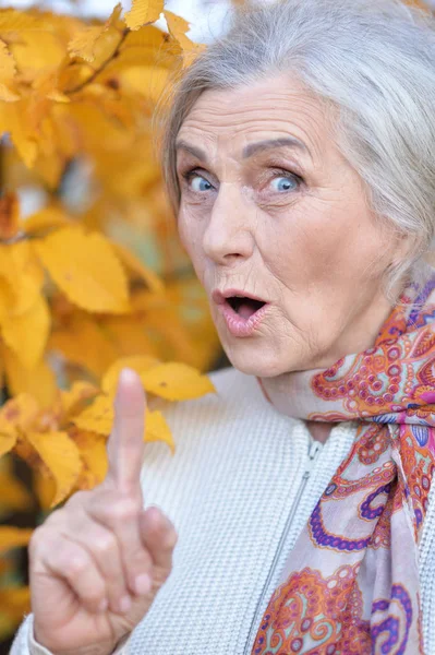 Mutlu Yaşlı Kadın Sonbahar Parkta Bir Fikri Var — Stok fotoğraf