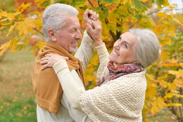 Portrait Beautiful Senior Couple Dancing Park — Stock Photo, Image