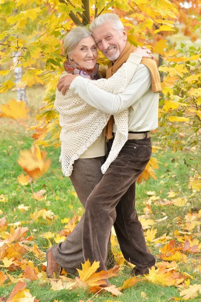 Porträt Eines Schönen Seniorenpaares Park — Stockfoto