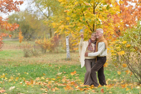 Portret Van Mooi Senior Koppel Het Park — Stockfoto