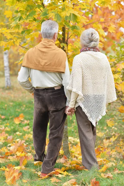 Senior Vrouw Man Park Achteraanzicht — Stockfoto