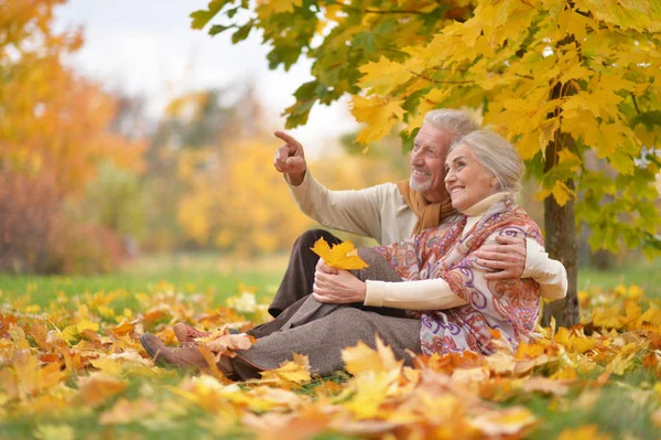 快乐的老年女人和男人在公园里 用手指指着的人 — 图库照片