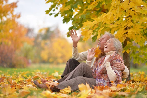 Glückliche Seniorin Und Mann Park — Stockfoto