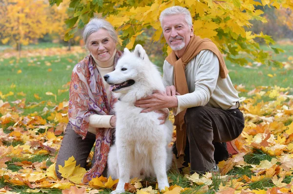Feliz Casal Sênior Parque Outono Com Cão — Fotografia de Stock