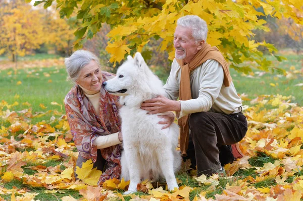 Happy Senior Couple Autumn Park Dog — Stock Photo, Image