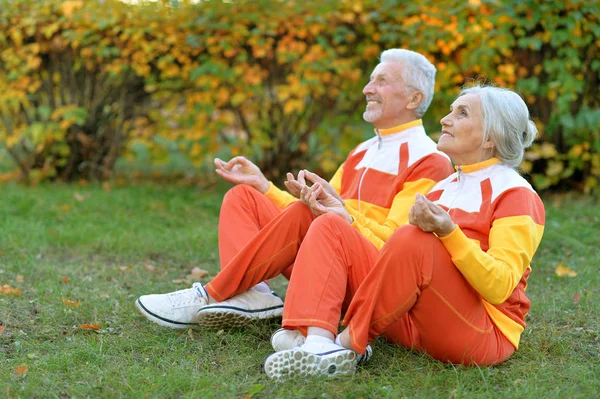 Forma Coppia Anziana Meditando Nel Parco Autunnale — Foto Stock